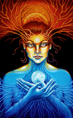 Terra (cena 40 000,-)